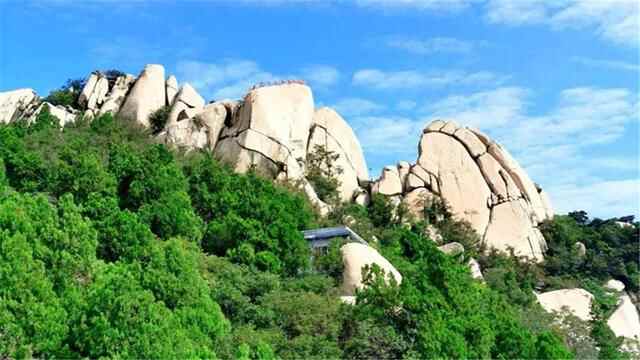 济宁各县区人口增长率对比，任城遥遥领先，嘉祥流失最大