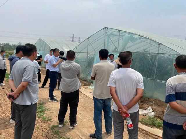 金乡：村村比武月月提升 激发组织活力赋能乡村振兴
