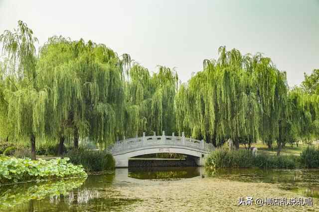 山东济宁汶上楼市的危机，回不去的房价，汶上县楼市的潜力与未来