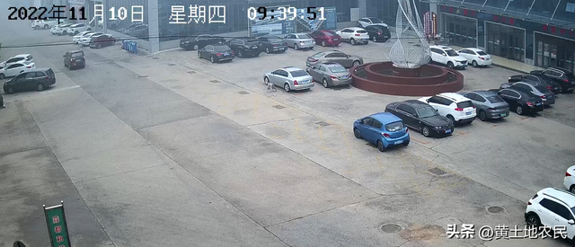 11月10日上午金乡大蒜价格行情