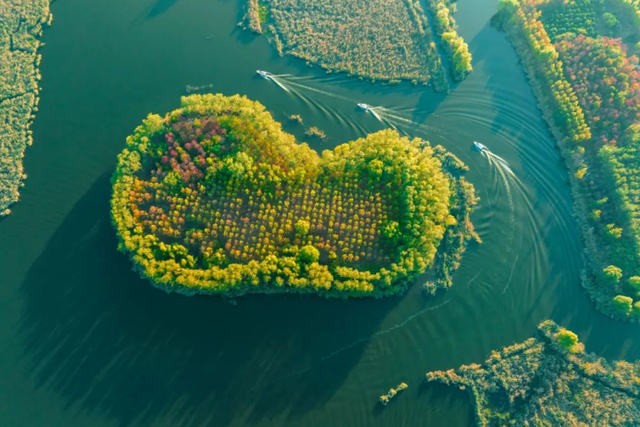 鱼台：发挥文旅品牌优势 满足居民文化需求