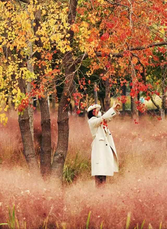 任城的秋，正当时