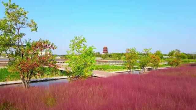 任城的秋，正当时