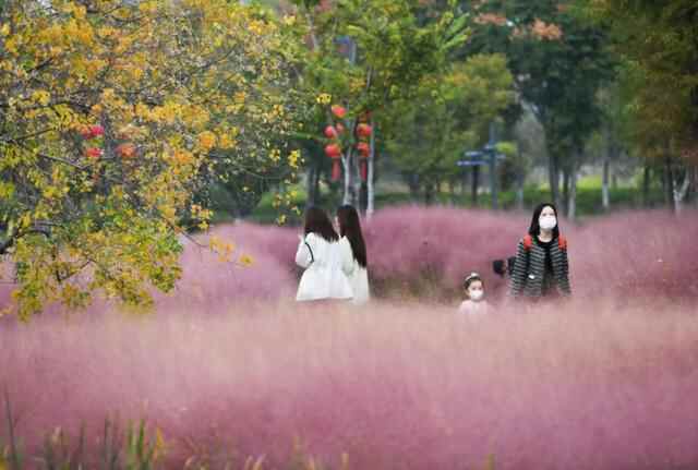 任城的秋，正当时