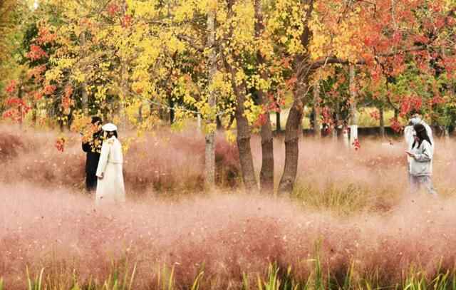 任城的秋，正当时