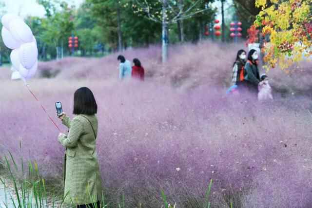 任城的秋，正当时