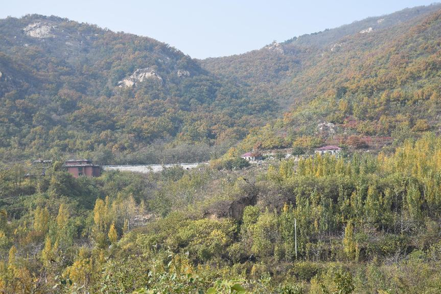 这里是济宁｜深秋大美九仙山 无限风光如画般