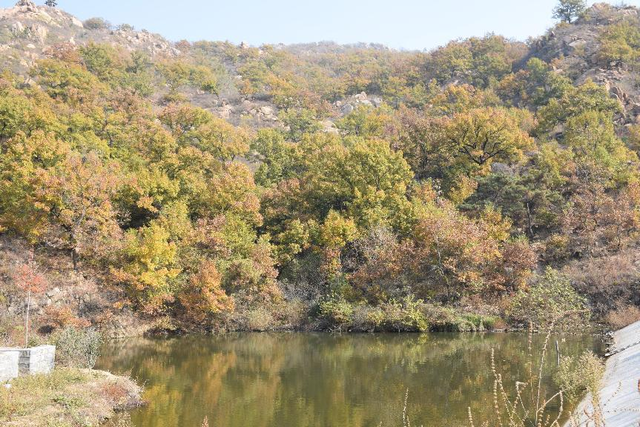 这里是济宁｜深秋大美九仙山 无限风光如画般