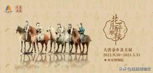 西安看展｜金乡县主竟比太平公主女儿还金贵？