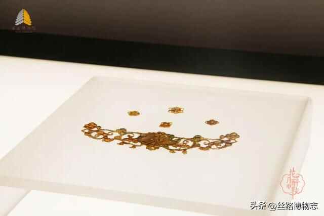 西安看展｜金乡县主竟比太平公主女儿还金贵？