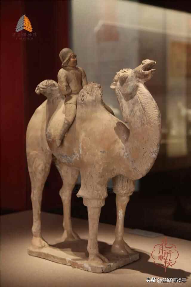 西安看展｜金乡县主竟比太平公主女儿还金贵？