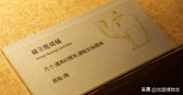 西安看展｜金乡县主竟比太平公主女儿还金贵？