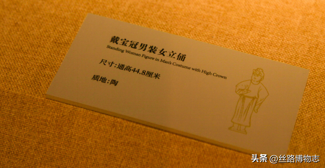 西安看展｜金乡县主竟比太平公主女儿还金贵？