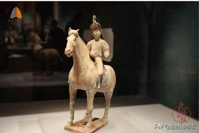 西安看展｜金乡县主竟比太平公主女儿还金贵？