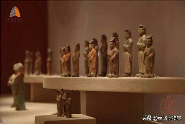 西安看展｜金乡县主竟比太平公主女儿还金贵？