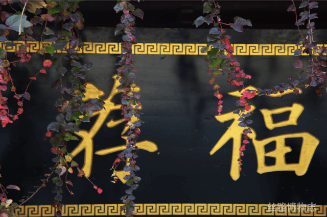 西安看展｜金乡县主竟比太平公主女儿还金贵？