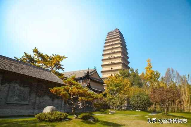 西安看展｜金乡县主竟比太平公主女儿还金贵？