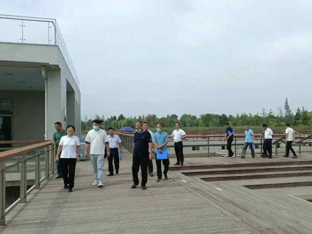 这里是济宁｜扮靓城市颜值，画好城市品质提升“点睛之笔”