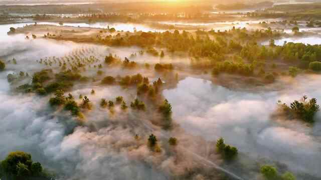 组图｜微山：新生态文明建设示范区