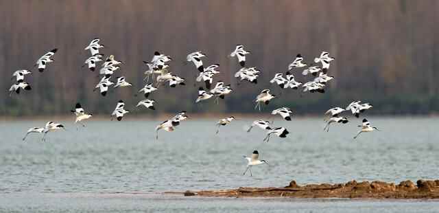 组图｜微山：新生态文明建设示范区