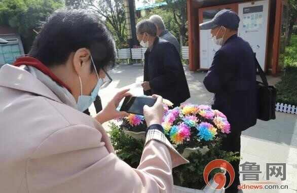 万菊芳菲丨济宁高新区蓼河公园欢迎您来赏菊花