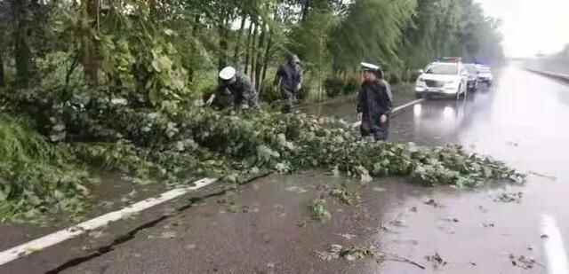 请人民放心 让群众满意——微山县公安局多措并举真抓实干 公安工作成效显著