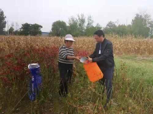 金乡县自然资源和规划局积极开展？“干部一线支农、助力秋收秋种”活动