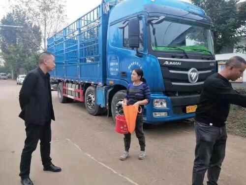 金乡县自然资源和规划局积极开展？“干部一线支农、助力秋收秋种”活动