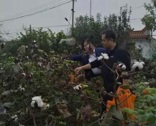 金乡县自然资源和规划局积极开展？“干部一线支农、助力秋收秋种”活动