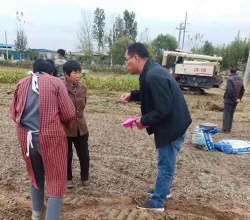 金乡县自然资源和规划局积极开展？“干部一线支农、助力秋收秋种”活动