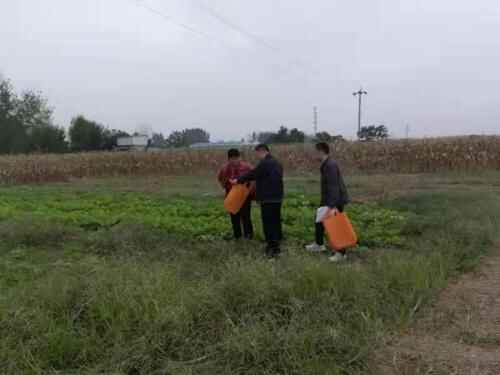 金乡县自然资源和规划局积极开展？“干部一线支农、助力秋收秋种”活动
