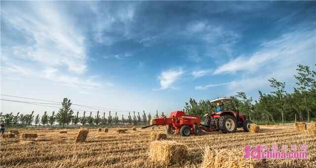 山东鱼台：增进民生福祉 彰显为民情怀