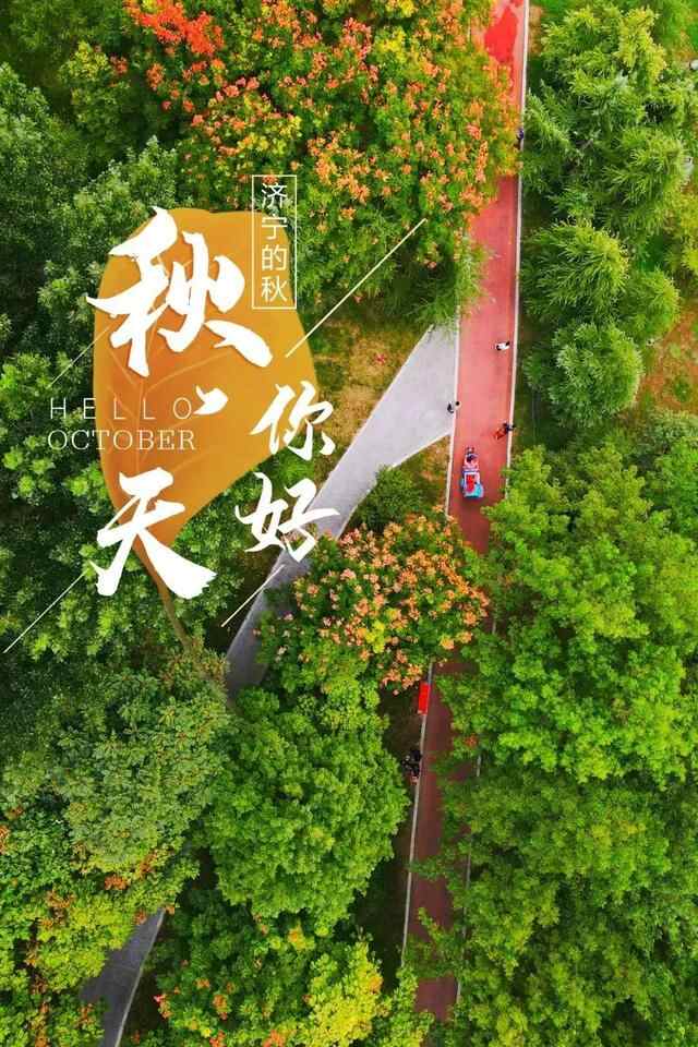 漫步济宁 | 连风里都是秋天的味道