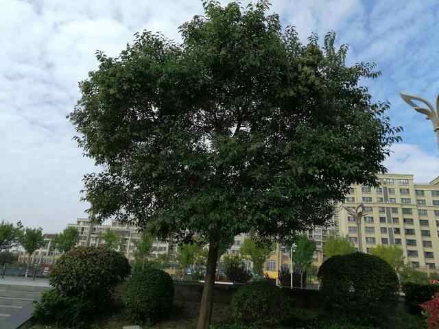 鱼台县，我来了