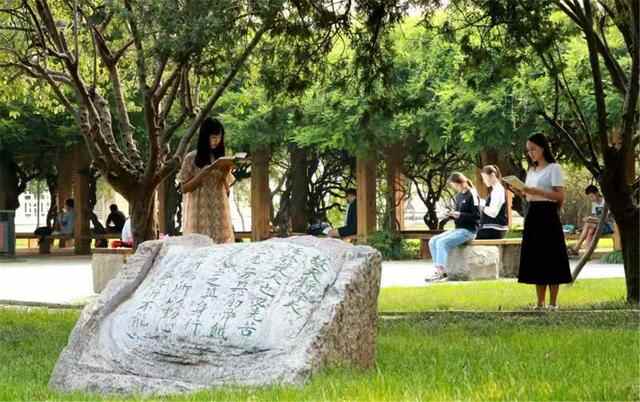 济宁高校省内排名，曲师一骑绝尘杀，医学院、济宁学院表现一般