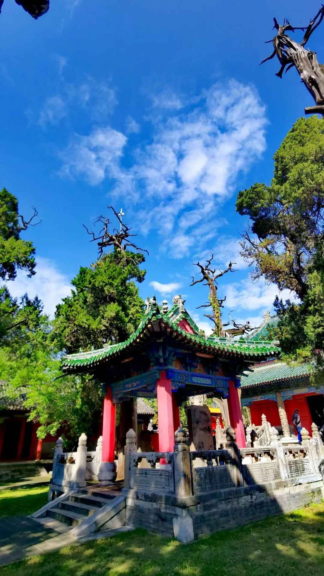 “垮塌式”降温！最强冷空气要来曲阜了！