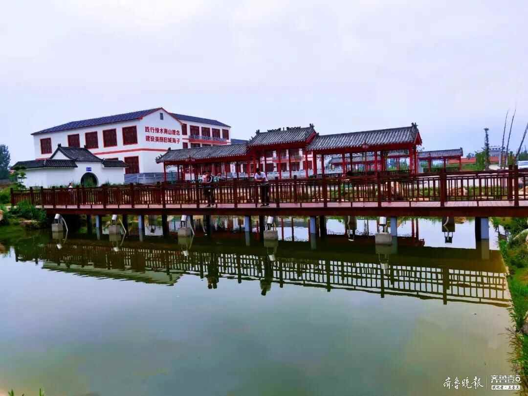 真是不错！济宁鱼台这个小村庄建成了AAA级景区村庄