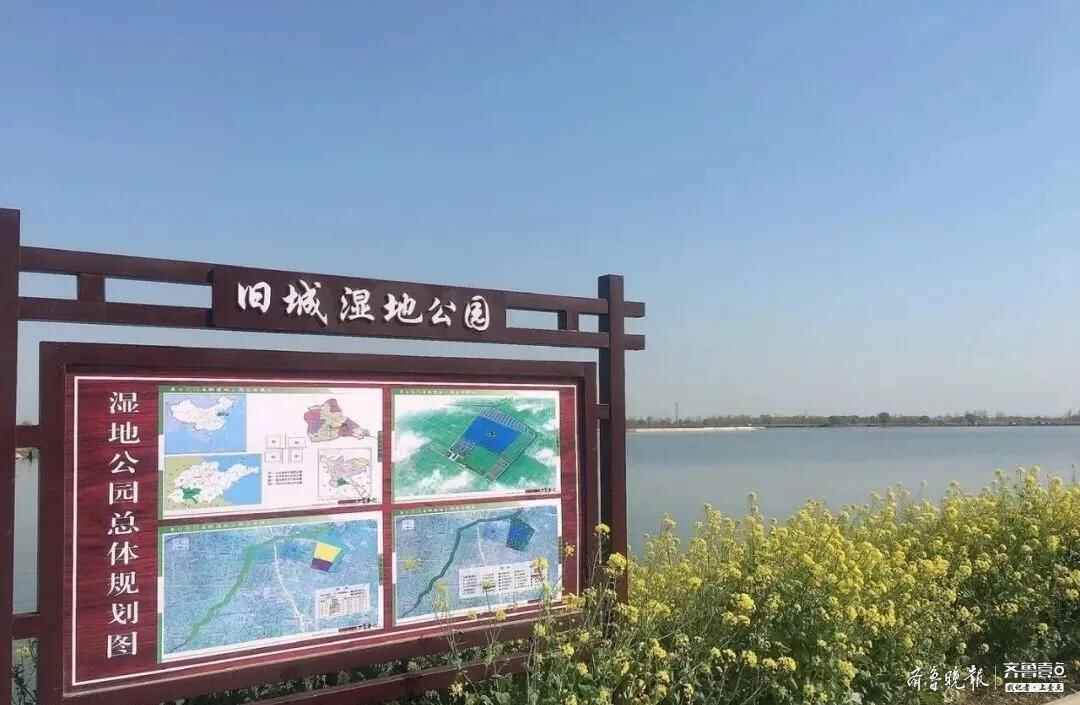 真是不错！济宁鱼台这个小村庄建成了AAA级景区村庄