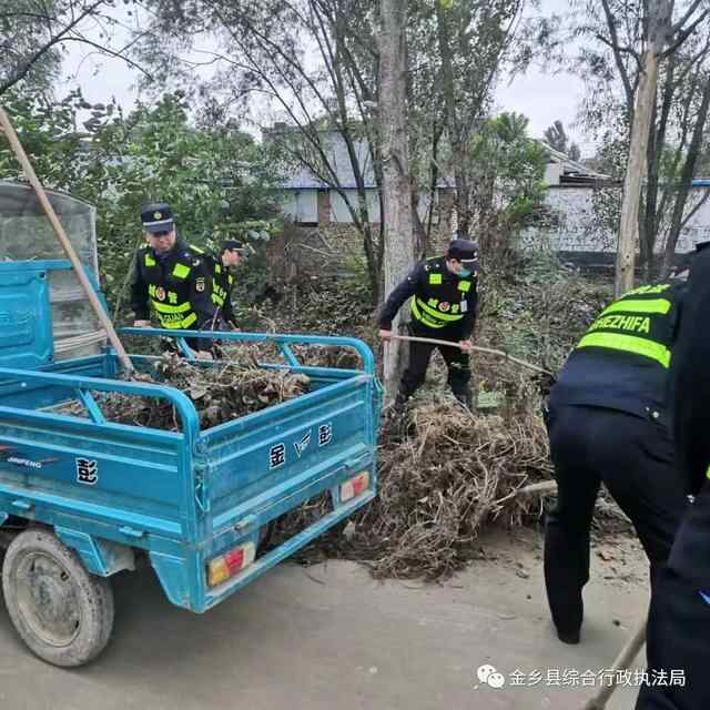 金乡县综合行政执法局：开展农村人居环境整治，助力乡村振兴