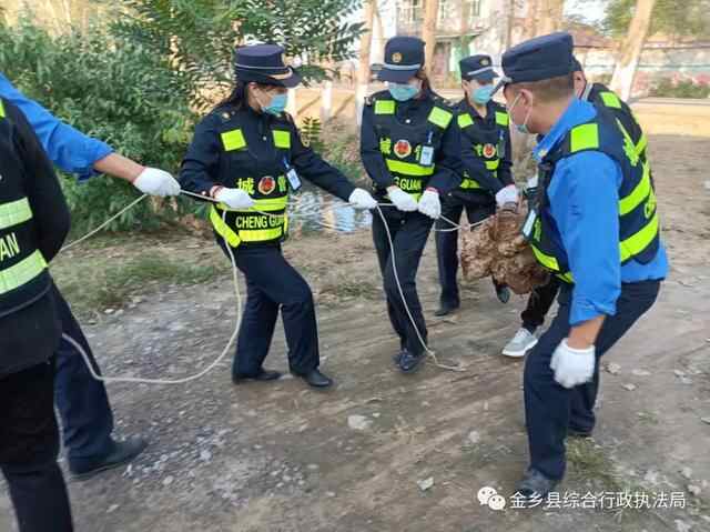 金乡县综合行政执法局：开展农村人居环境整治，助力乡村振兴