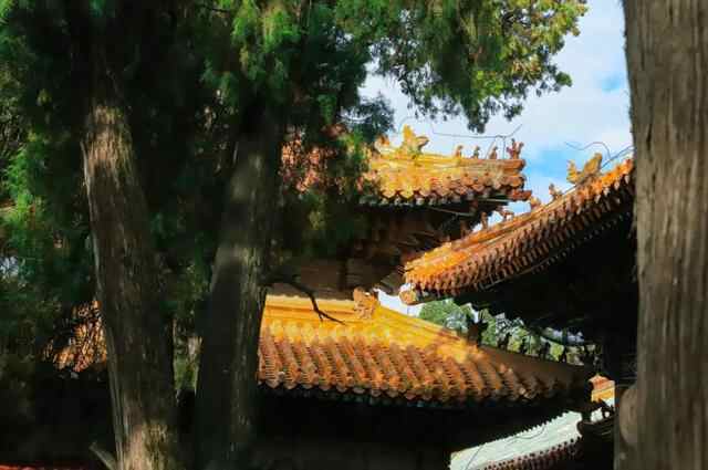 人间最美是秋色！曲阜三孔景区高清美图来袭！
