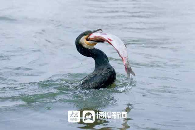 游览水墨微山 寻迹红色“脉络”