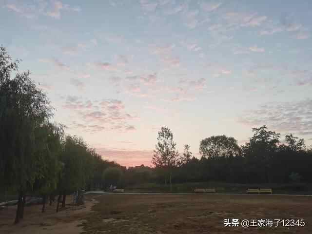 愿汶上的天更蓝，水更清，空气更清新，市民生活更滋润