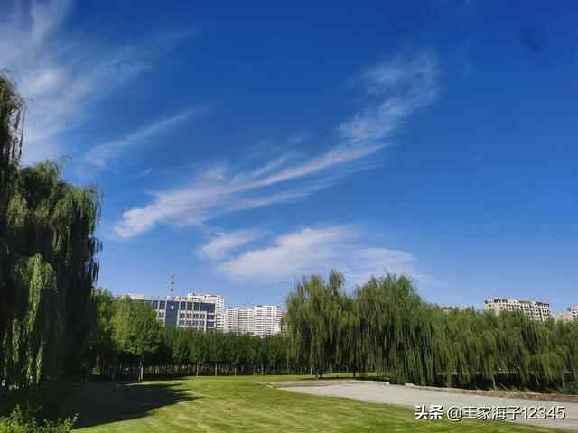愿汶上的天更蓝，水更清，空气更清新，市民生活更滋润