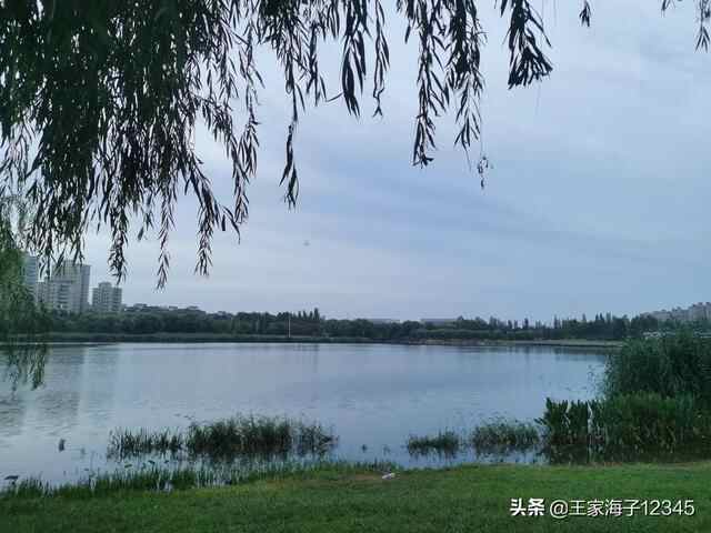 愿汶上的天更蓝，水更清，空气更清新，市民生活更滋润