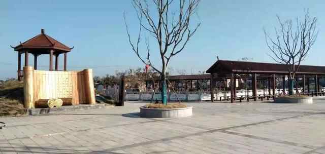 「文化为民」在金乡真敞亮 文体场所都全啦！！！----金乡县文化工作纪实（一）