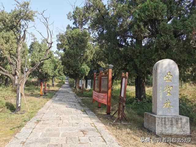 国家重点文物保护单位，邹城三孟之一•孟子林