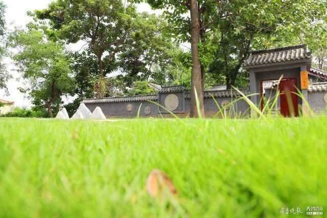 助力乡村振兴！曲阜市大力推进涉农资金统筹整合