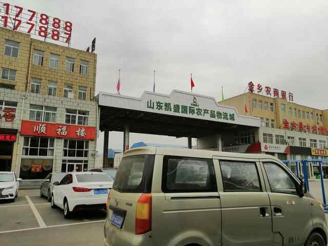 大金乡我来了