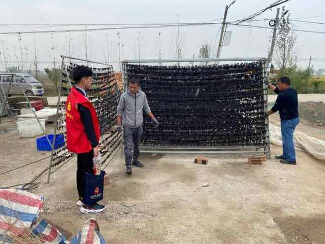 微山农商银行小水蛭“贷”来大财富